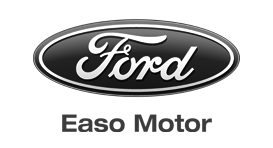 LogoEasoMotorBN