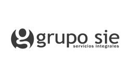 logo-Grupo-SIEBN
