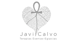logo havi calvo esenia